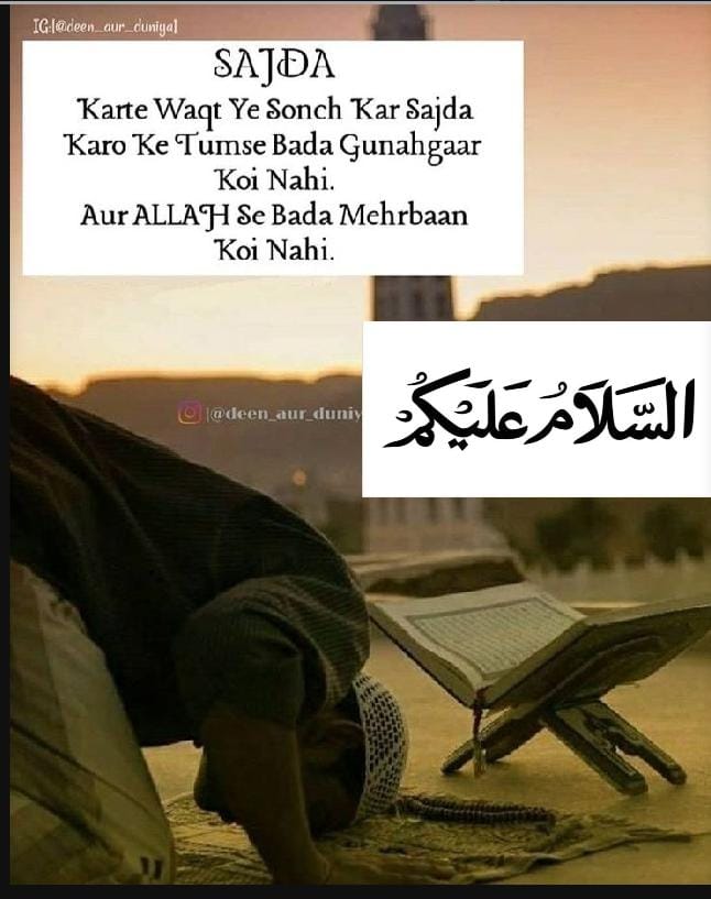 Almeen Zehra